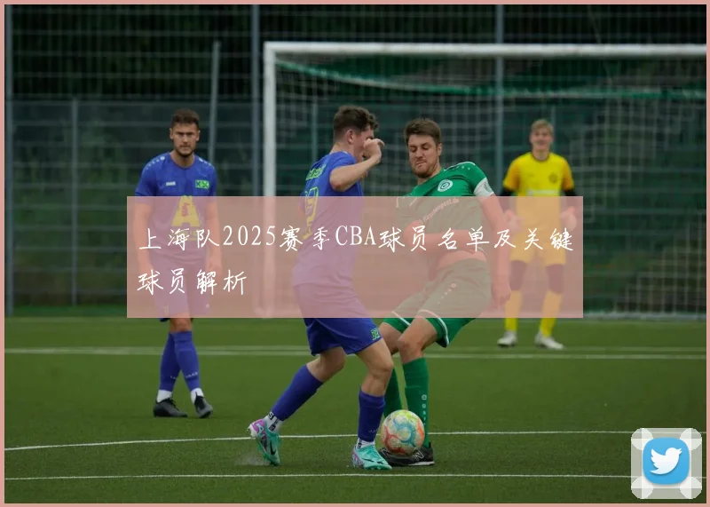 上海队2025赛季CBA球员名单及关键球员解析