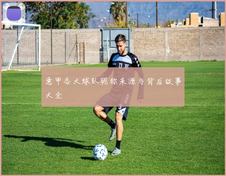 意甲各大球队昵称来源与背后故事大全