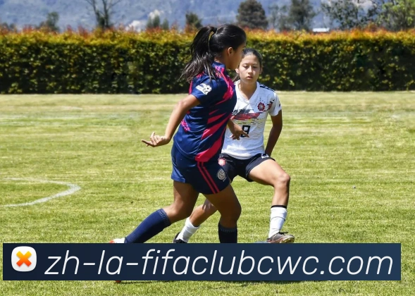 世界杯平台服务体系